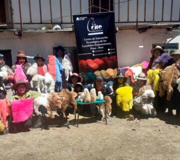 Artesanos de Carabaya