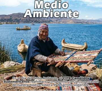 Medio ambiente 360x320