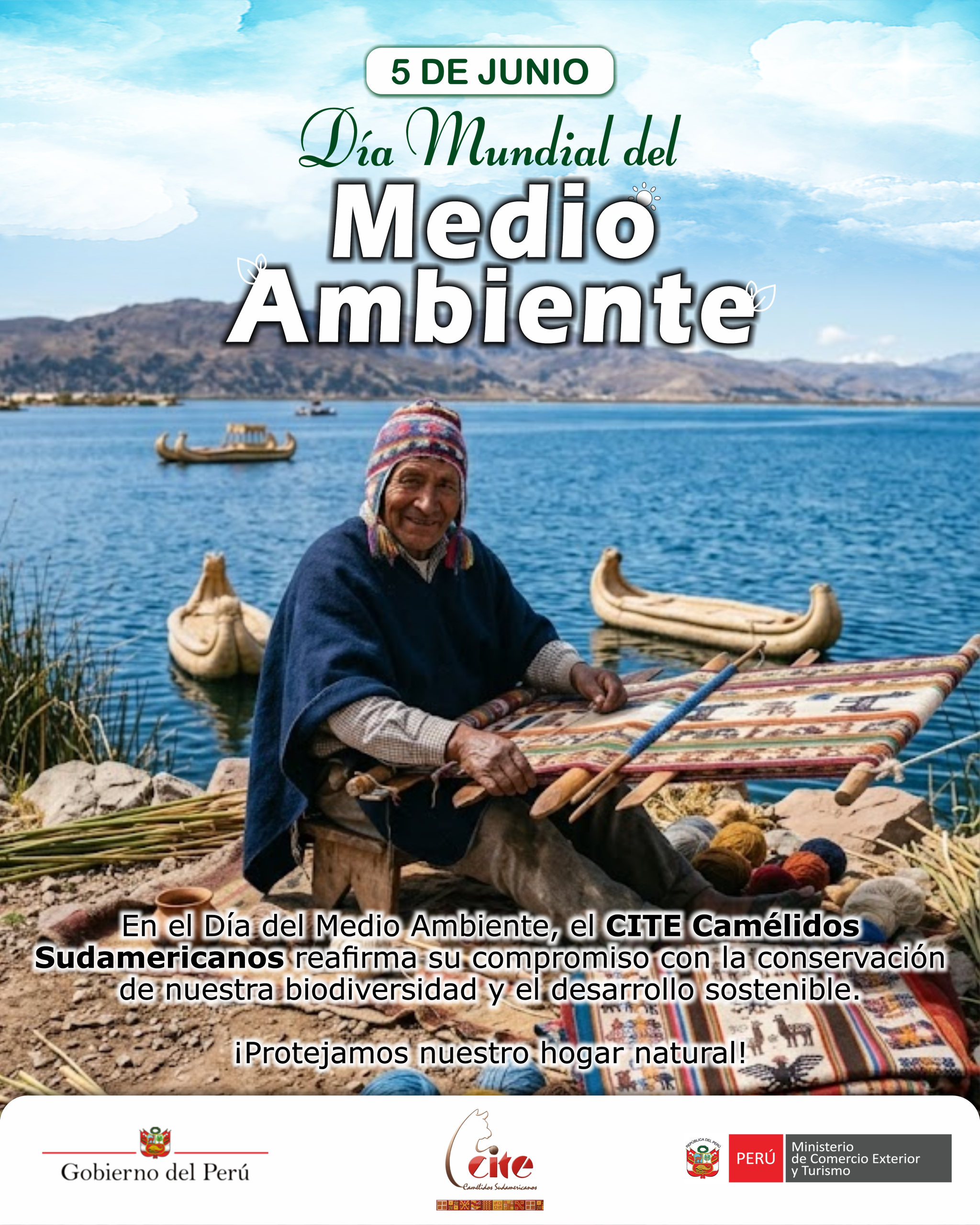 Medio ambiente scaled